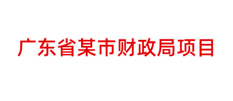 廣東省某市財政局項目